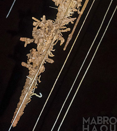 Aid Dhab Caving Tunisia-Mabrouk Haoues