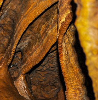 Galite Tunisia-Mabrouk Haoues