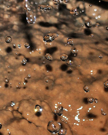 Galite Tunisia-Mabrouk Haoues