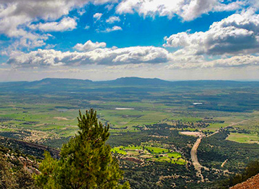 Galite Tunisia-Mabrouk Haoues