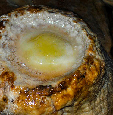 Galite Tunisia-Mabrouk Haoues