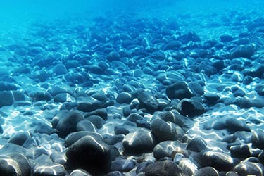 Galite Tunisia-Mabrouk Haoues