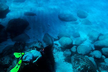 Galite Tunisia-Mabrouk Haoues