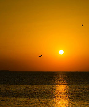 Kerkennah Islands Tunisia-Mabrouk Haoues | أرخبيل جزر قرقنة