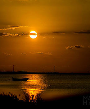 Kerkennah Islands Tunisia-Mabrouk Haoues | أرخبيل جزر قرقنة