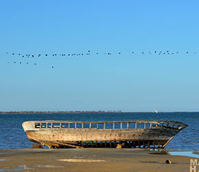 Kerkennah Islands Tunisia-Mabrouk Haoues | أرخبيل جزر قرقنة