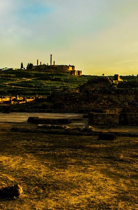 UTHINA Oudhna Tunisia|Mabrouk-Haoues