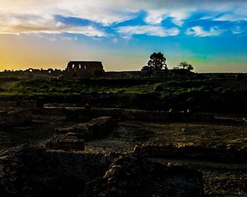 UTHINA Oudhna Tunisia|Mabrouk-Haoues
