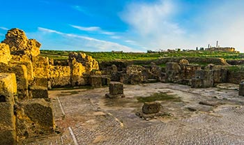 UTHINA Oudhna Tunisia|Mabrouk-Haoues