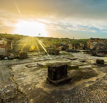 UTHINA Oudhna Tunisia|Mabrouk-Haoues