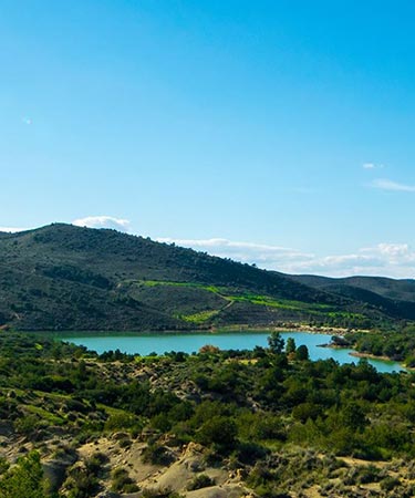 Zaghouan landscape-tunisia Mountain Nature